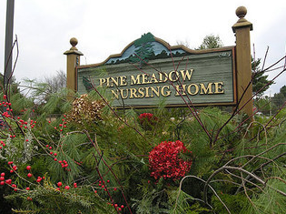 pine meadows